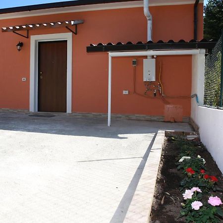 B&B La La Rose Piedimonte San Germano Extérieur photo
